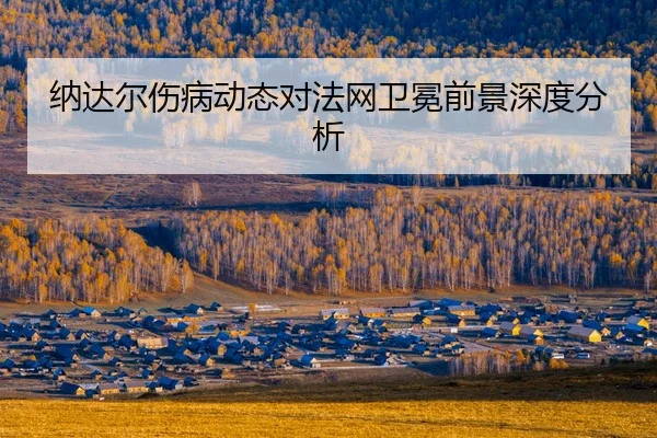 na-da-er-shang-bing-dong-tai-dui-fa-wang-wei-mian-qian-jing-shen-du-fen-xi-2-903.jpg