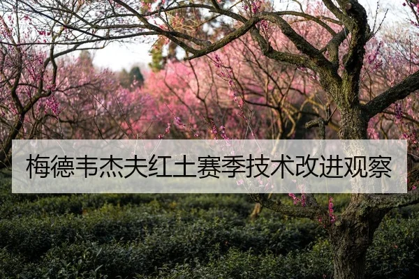 梅德韦杰夫红土赛季技术改进观察
