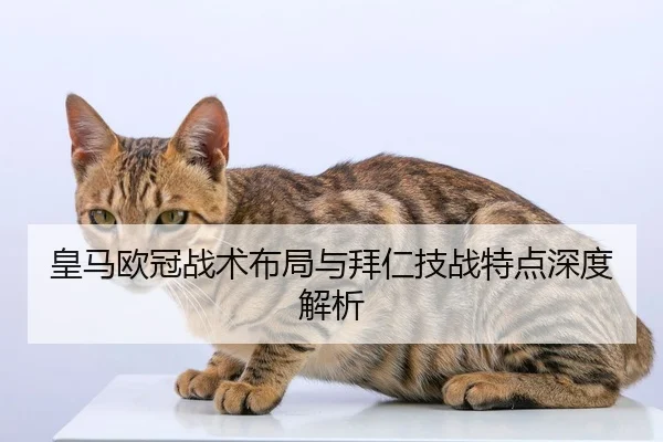 皇马欧冠战术布局与拜仁技战特点深度解析